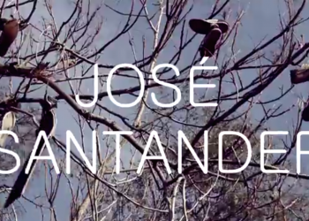 Jose Santander | Una Mañana en Parque O’higgins