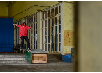 HDP | Septiembre 2014 | Paillaco