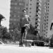 60 Segundos | Team Bilsed Skateboards