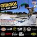 Cetaseos DIY Skate Contest | Valdivia | Sabado 19 Diciembre
