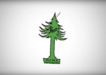 Best Trick Alerce | Busta | Video