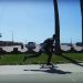 Stavros Razis | Cruising Venice Beach