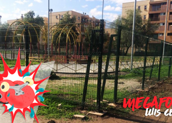 Megafono | Luis Cerda | Cierre de pista Halley en Macul