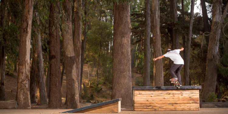 Matias Arraño | Bosque Clip!