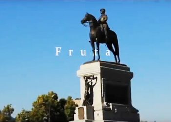 FrutaMix | Rechazada