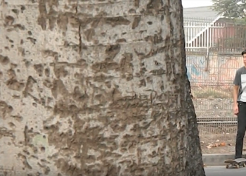 Kevin Baquedano | Retrospective