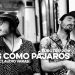 Libres Como Pajaro Video | Hermanos Varas | WallieWalls