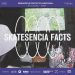 Skatesencia Facts | Miercoles 25 De Mayo | CityLab GAM