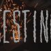 Testing | Yerromob